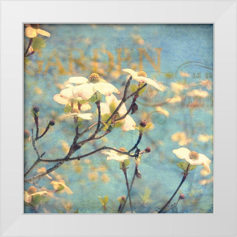 Dogwood II White Modern Wood Framed Art Print by Melious, Amy