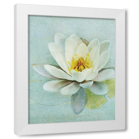 Pond Lily White Modern Wood Framed Art Print by Melious, Amy