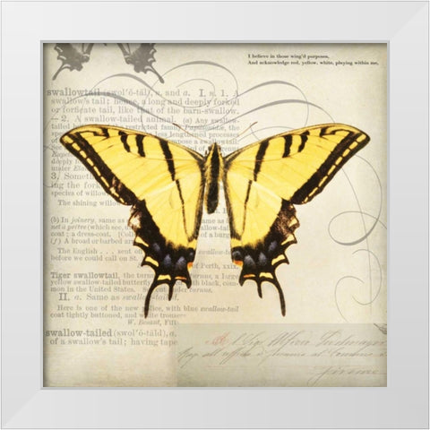 Butterflies Script V White Modern Wood Framed Art Print by Melious, Amy