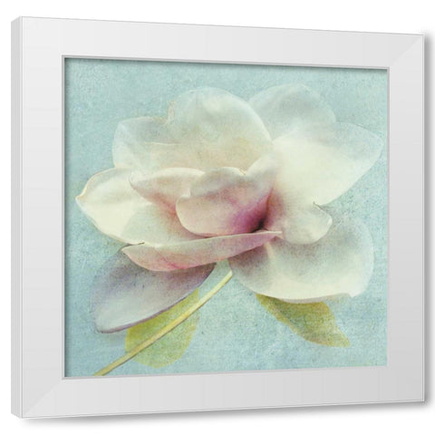 Pond Lily Sq. White Modern Wood Framed Art Print by Melious, Amy