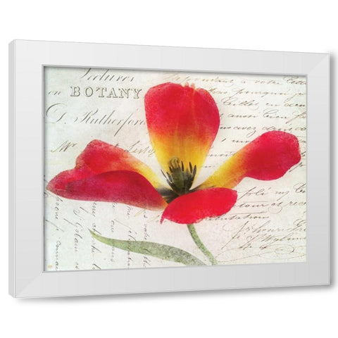 Bloom II White Modern Wood Framed Art Print by Melious, Amy