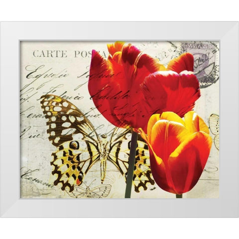 Carte Postale Tulip II White Modern Wood Framed Art Print by Melious, Amy