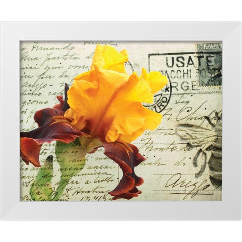 Carte Postale Iris White Modern Wood Framed Art Print by Melious, Amy