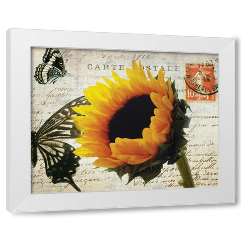 Carte Postale Sunflower White Modern Wood Framed Art Print by Melious, Amy