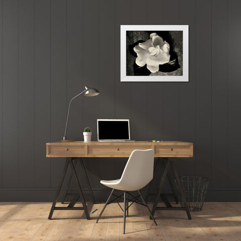 Gardenia Bloom White Modern Wood Framed Art Print by Melious, Amy