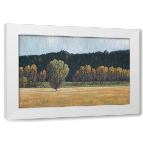 Cottonwood Country I White Modern Wood Framed Art Print by Macnab, John