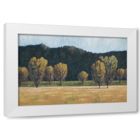 Cottonwood Country II White Modern Wood Framed Art Print by Macnab, John