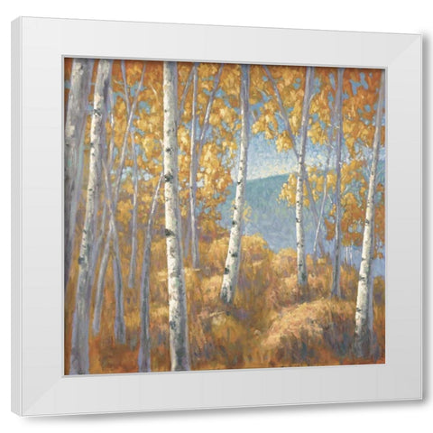 Fall Aspen I White Modern Wood Framed Art Print by Macnab, John