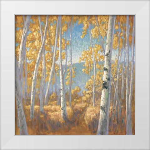 Fall Aspen I White Modern Wood Framed Art Print by Macnab, John