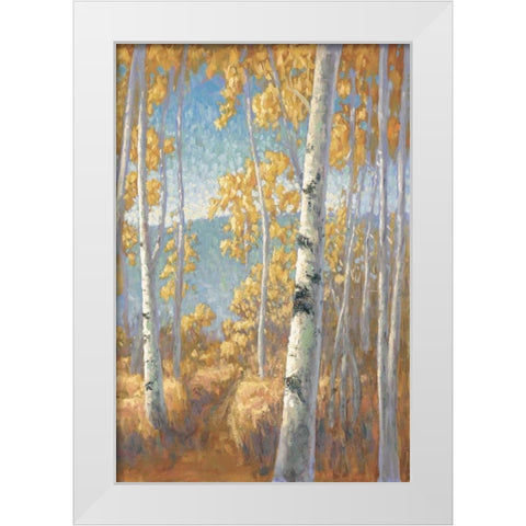 Aspen Forest II White Modern Wood Framed Art Print by Macnab, John