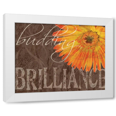 Gerbera II White Modern Wood Framed Art Print by Murray, Sylvia