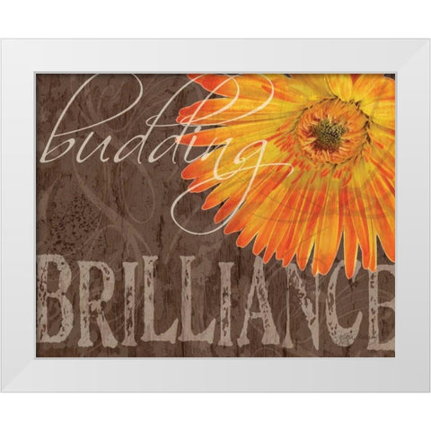 Gerbera II White Modern Wood Framed Art Print by Murray, Sylvia