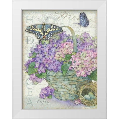 Hydrangea Folio White Modern Wood Framed Art Print by Paton, Julie