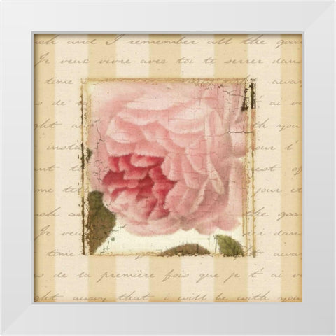 Rose and Romance II White Modern Wood Framed Art Print by Pela Design