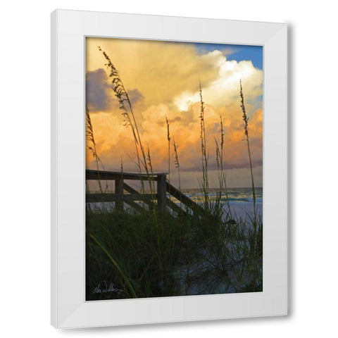 Majestic Coast I White Modern Wood Framed Art Print by Williams, Alex