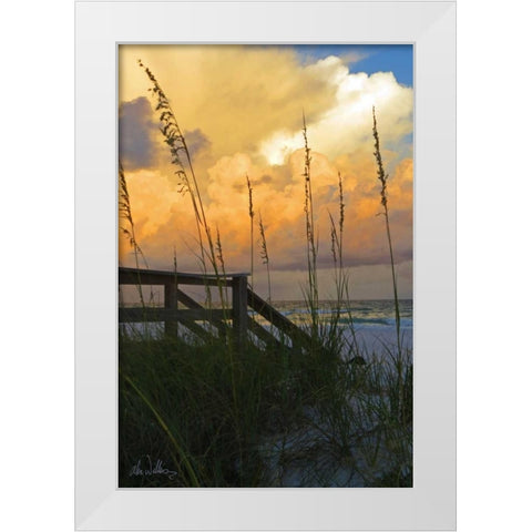 Majestic Coast I White Modern Wood Framed Art Print by Williams, Alex