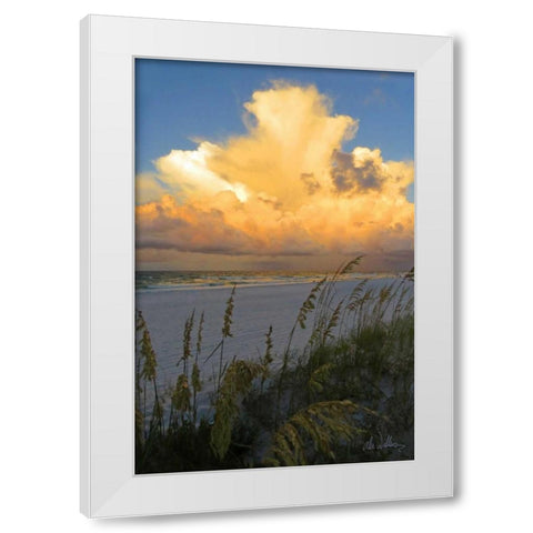 Majestic Coast II White Modern Wood Framed Art Print by Williams, Alex