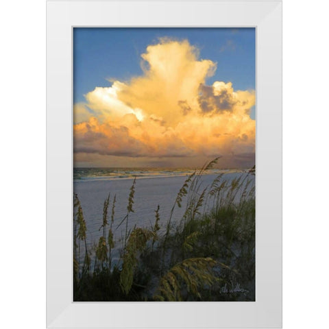 Majestic Coast II White Modern Wood Framed Art Print by Williams, Alex