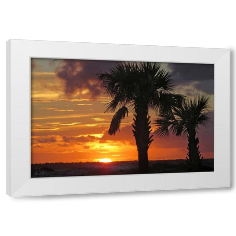 Sunset Palms II White Modern Wood Framed Art Print by Williams, Alex