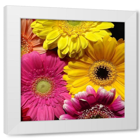 Spring Potpourri I White Modern Wood Framed Art Print by Burkhart, Monika