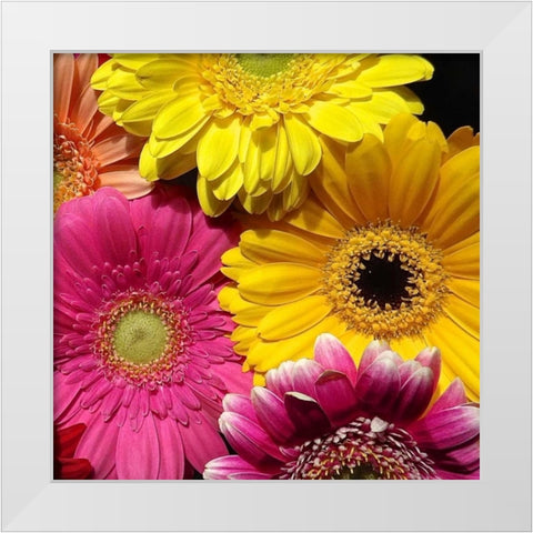 Spring Potpourri I White Modern Wood Framed Art Print by Burkhart, Monika