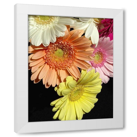 Spring Potpourri III White Modern Wood Framed Art Print by Burkhart, Monika