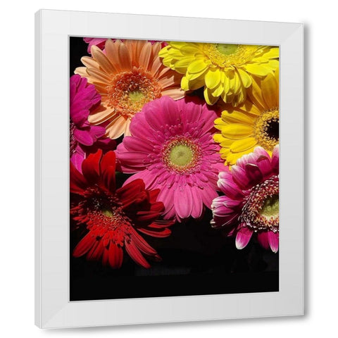 Spring Potpourri IV White Modern Wood Framed Art Print by Burkhart, Monika
