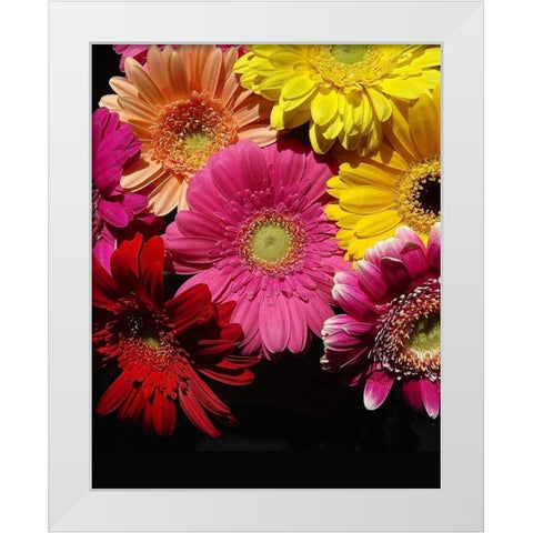 Spring Potpourri IV White Modern Wood Framed Art Print by Burkhart, Monika