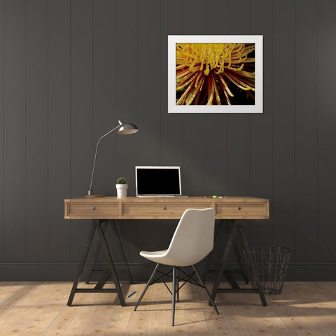 Sun Dance I White Modern Wood Framed Art Print by Burkhart, Monika