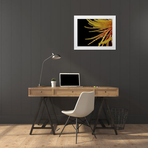 Sun Dance II White Modern Wood Framed Art Print by Burkhart, Monika