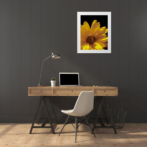 Sun Sparkled III White Modern Wood Framed Art Print by Burkhart, Monika