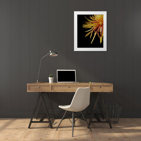 Sun Dance III White Modern Wood Framed Art Print by Burkhart, Monika