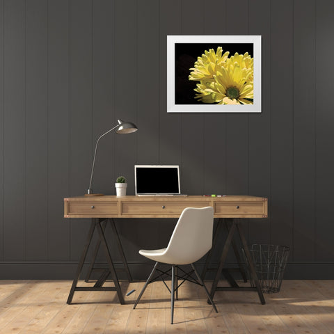 Yellow Daisy II White Modern Wood Framed Art Print by Burkhart, Monika