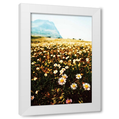 Mountain Summer I White Modern Wood Framed Art Print by Berzel, Erin