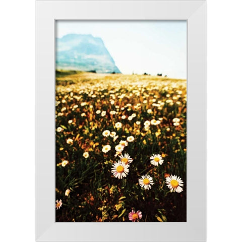 Mountain Summer I White Modern Wood Framed Art Print by Berzel, Erin