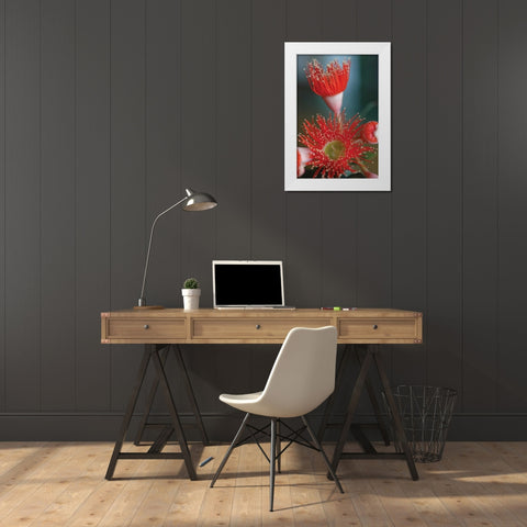 Summer Bloom XII White Modern Wood Framed Art Print by Berzel, Erin