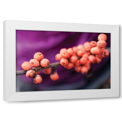 Wild Berries I White Modern Wood Framed Art Print by Berzel, Erin