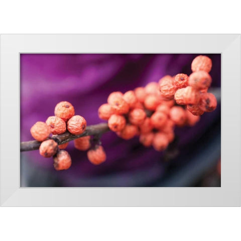 Wild Berries I White Modern Wood Framed Art Print by Berzel, Erin