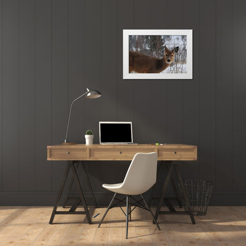 Winter Doe I White Modern Wood Framed Art Print by Berzel, Erin