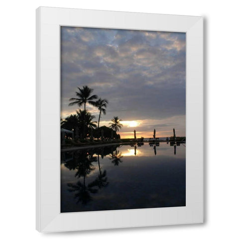 Tropical Paradise White Modern Wood Framed Art Print by Berzel, Erin