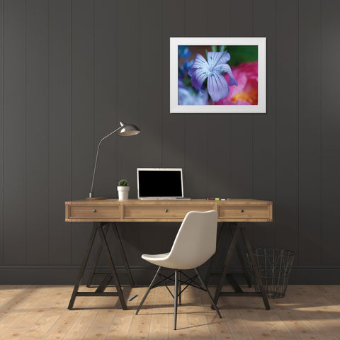 Delicate Flower I White Modern Wood Framed Art Print by Berzel, Erin