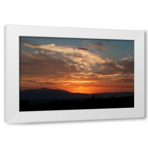 Sunset in Joshua Tree I White Modern Wood Framed Art Print by Berzel, Erin