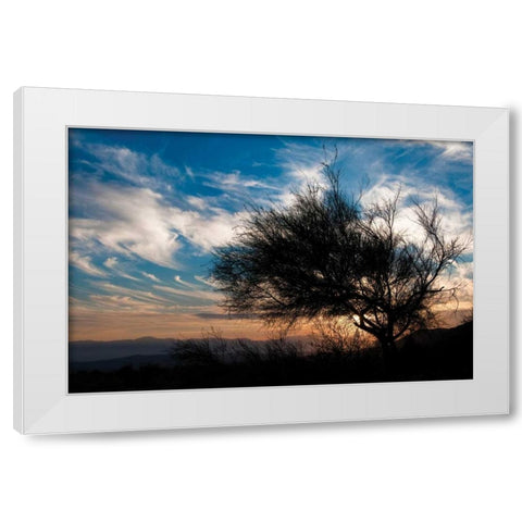Sunset in Joshua Tree I White Modern Wood Framed Art Print by Berzel, Erin