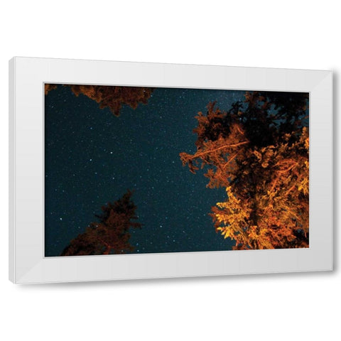 Starry Night II White Modern Wood Framed Art Print by Berzel, Erin