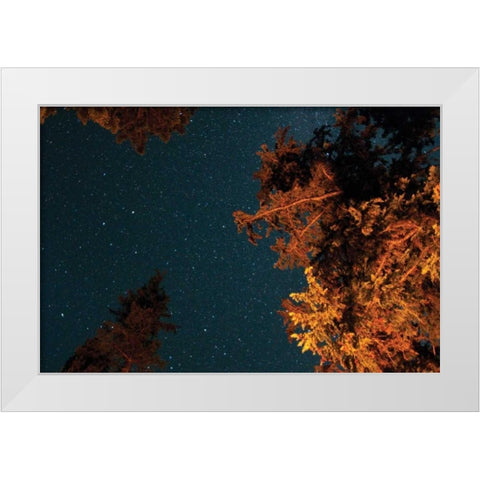 Starry Night II White Modern Wood Framed Art Print by Berzel, Erin