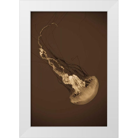 Sea Nettle III White Modern Wood Framed Art Print by Berzel, Erin