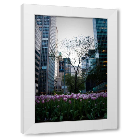 Tulips in Manhattan White Modern Wood Framed Art Print by Berzel, Erin