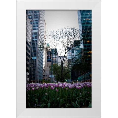 Tulips in Manhattan White Modern Wood Framed Art Print by Berzel, Erin