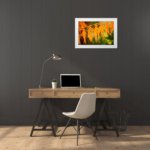 Fall Leaves IV White Modern Wood Framed Art Print by Berzel, Erin