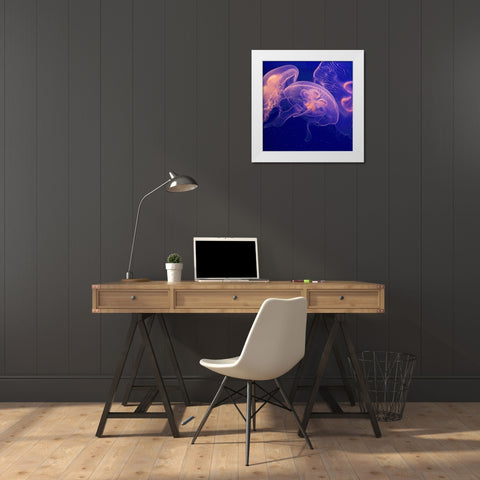 Jellyfish Dance I White Modern Wood Framed Art Print by Crane, Rita